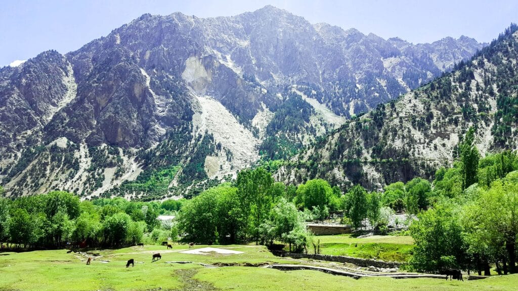 kalash valley