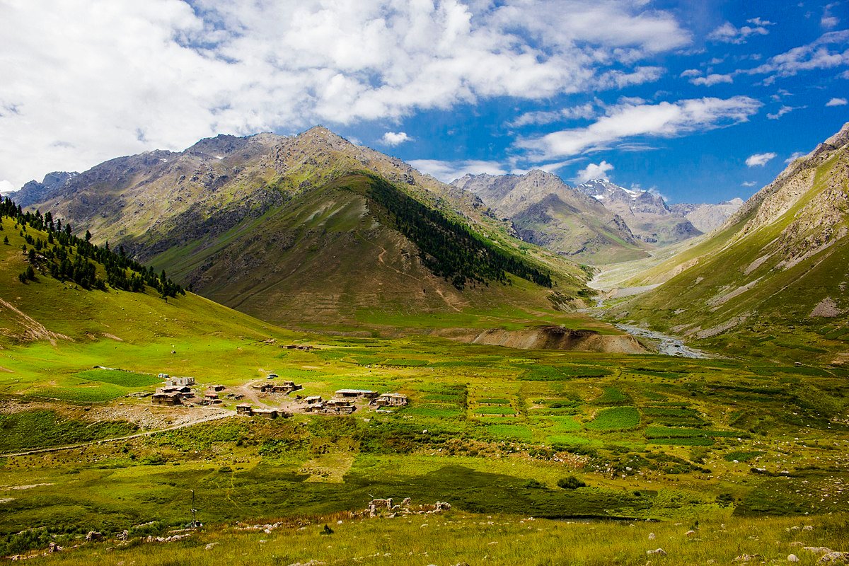 Scenic view of lush green alpine meadows and mountain landscapes in Astore Valley near Chillam Chowki, featured by Northern Discover.