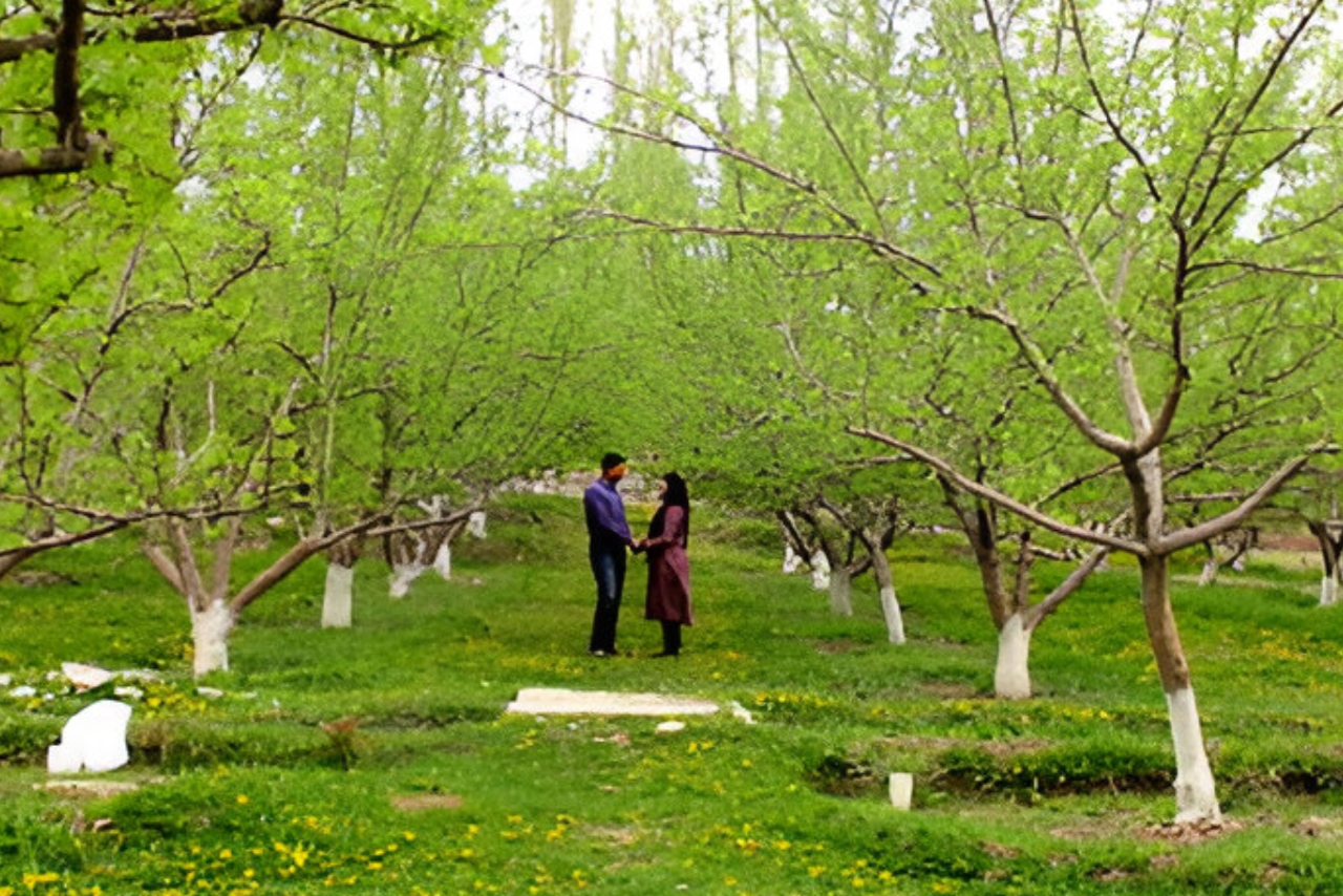 hashopi bagh