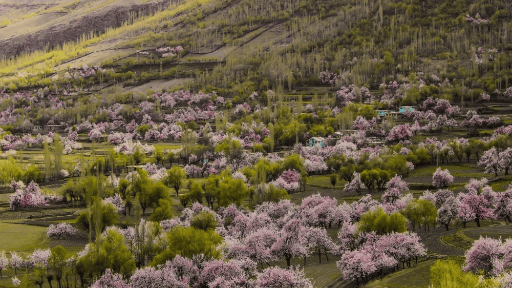chunda valley