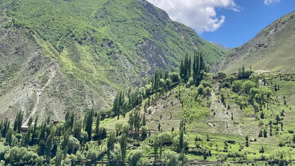 bilamik valley