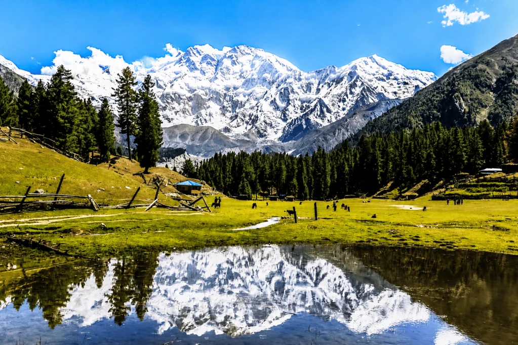 Fairy Meadows Nanga Parbat Mountain Landscape.webp Fairy Meadows with a panoramic view of snow-covered Nanga Parbat, green alpine meadows, pine forests, and a reflective pond in Gilgit-Baltistan, Pakistan.