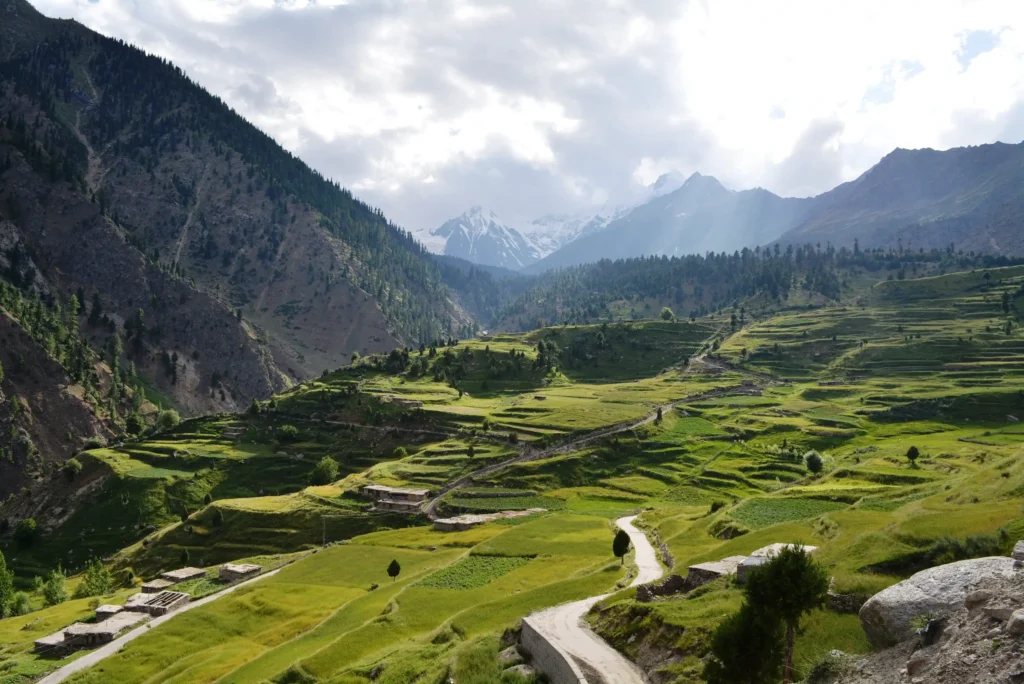 Green fields and mountain views at a stunning location among the places to visit in Astore Valley.