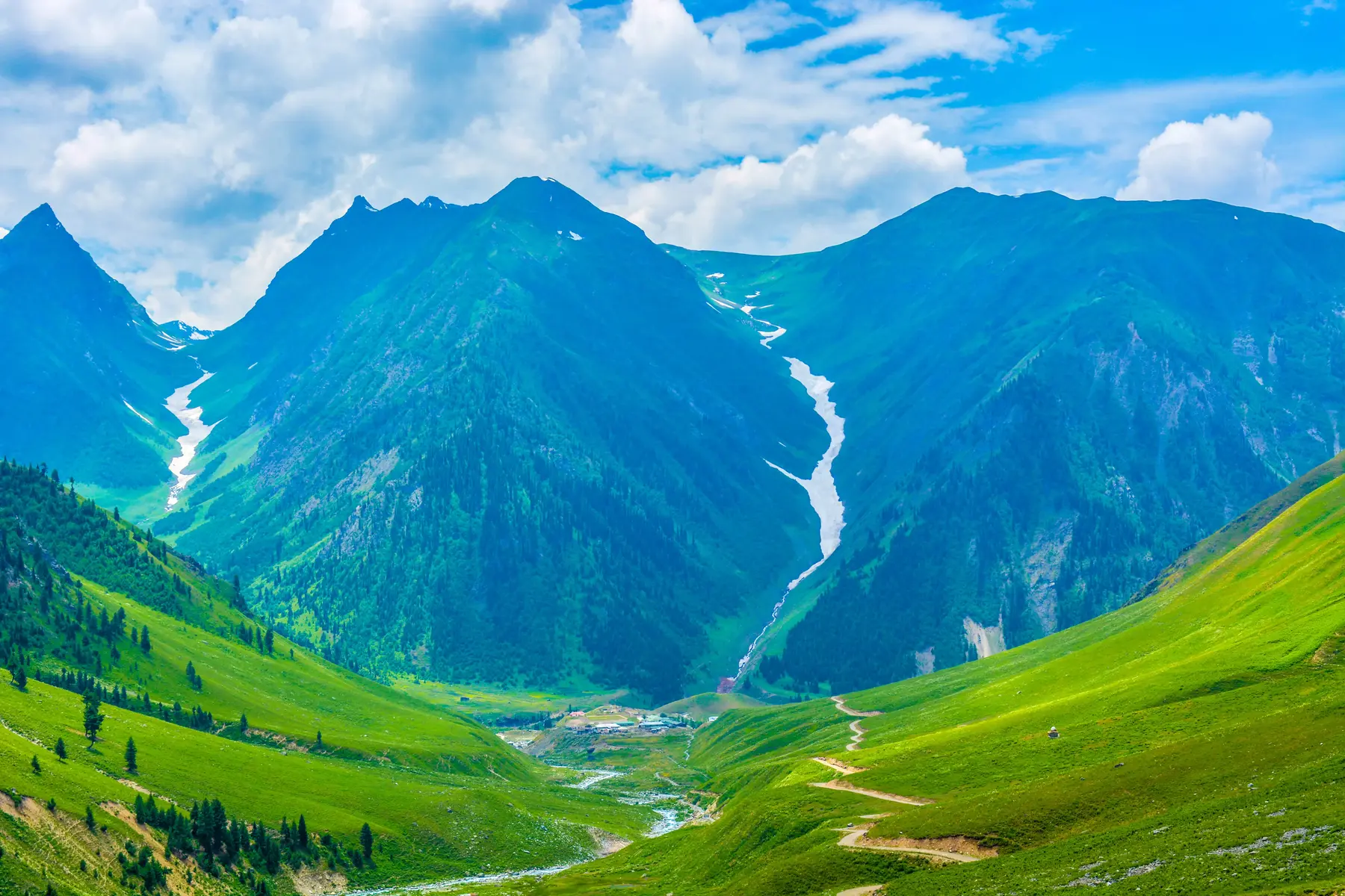 Alt Text: Scenic view of the lush green meadows and pine forests of Minimarg Valley, a beautiful destination among places to visit in Astore Valley