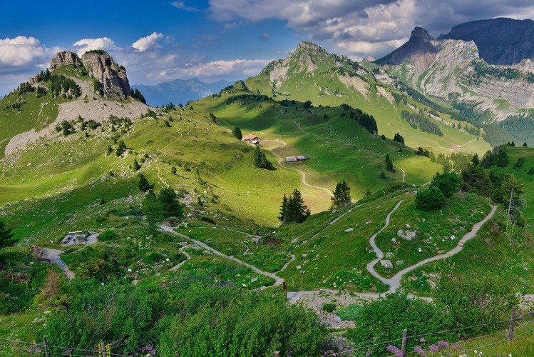 A scenic trout fishing stream and green meadows in Gudai Valley, one of the beautiful places to visit in Astore Valley