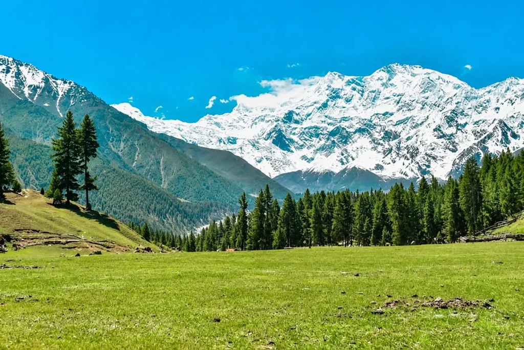 FAIRY MEADOWS Top 10 Beautiful Places to Visit in Gilgit-Baltistan