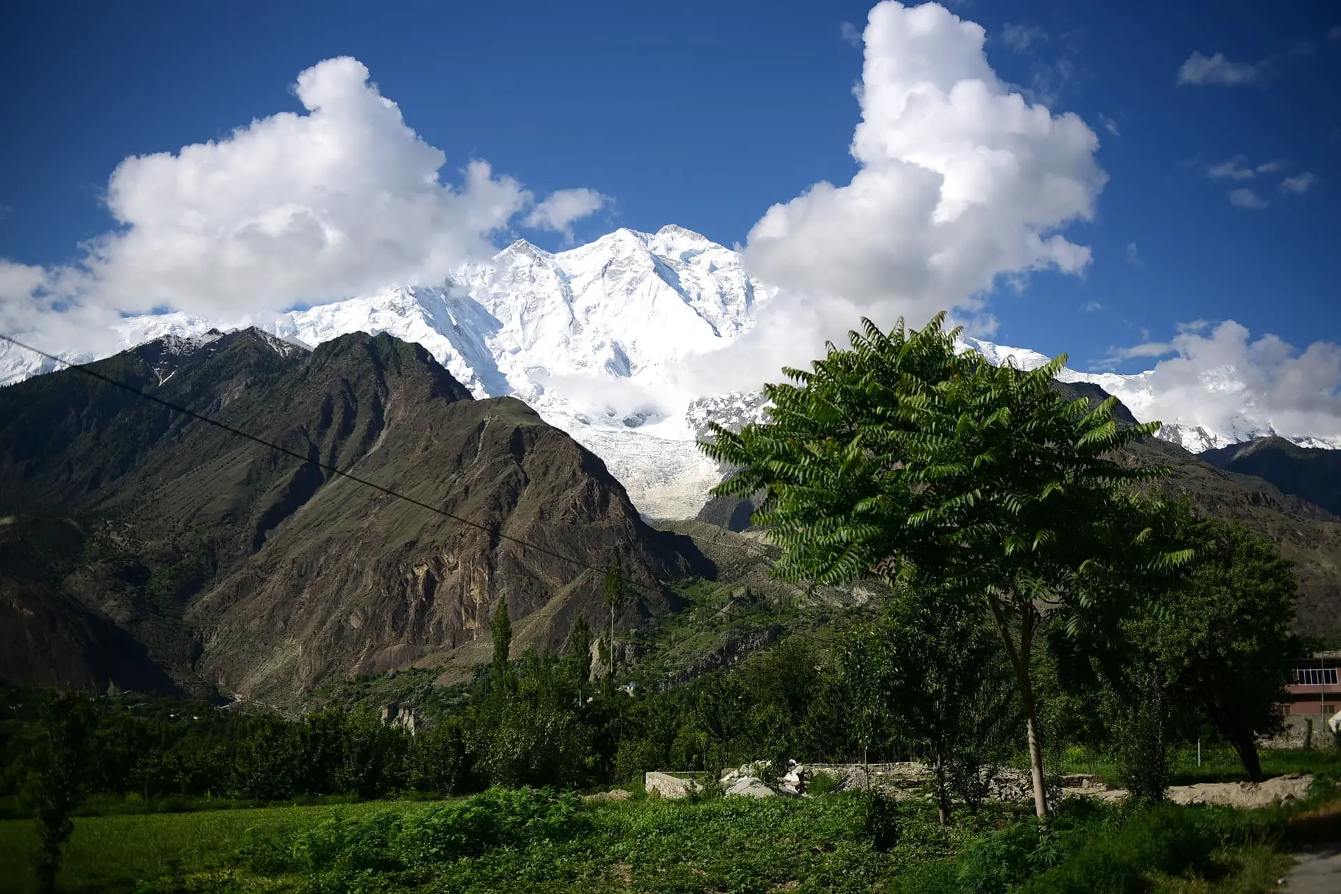 Snow-covered Rakaposhi Mountain rising above lush green fields and trees in Gilgit-Baltistan, Pakistan.