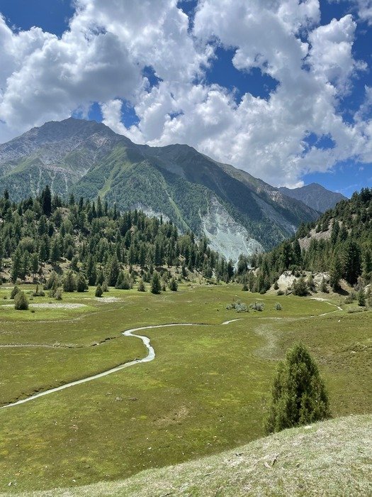 Lush valley stream below mountains in Pakistan - Astore Valley Travel Guide