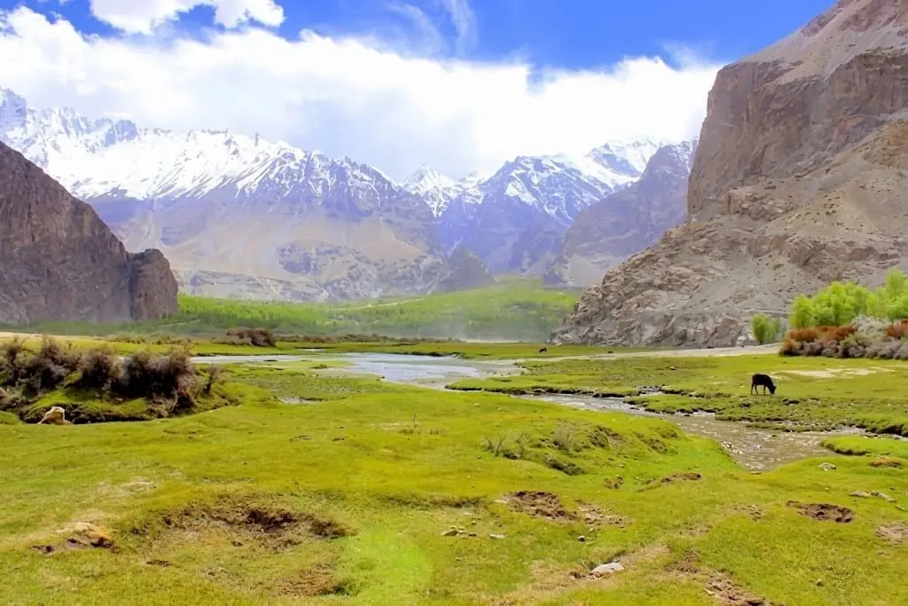 Lush green pasture with a small stream, grazing livestock, and steep rock cliffs framing snow-capped Karakoram mountains in Saling Khaplu Valley.