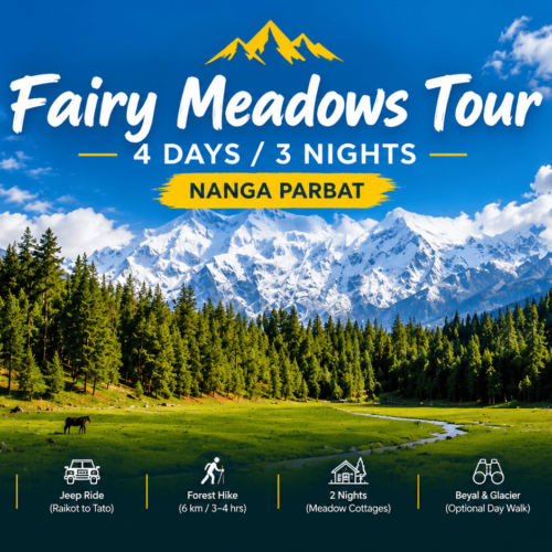 Fairy Meadows 4 days 3 nights tour featuring the snow-covered Nanga Parbat, lush green meadows, and dense pine forests in Northern Pakistan.